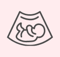 Visual representing fetal biometry